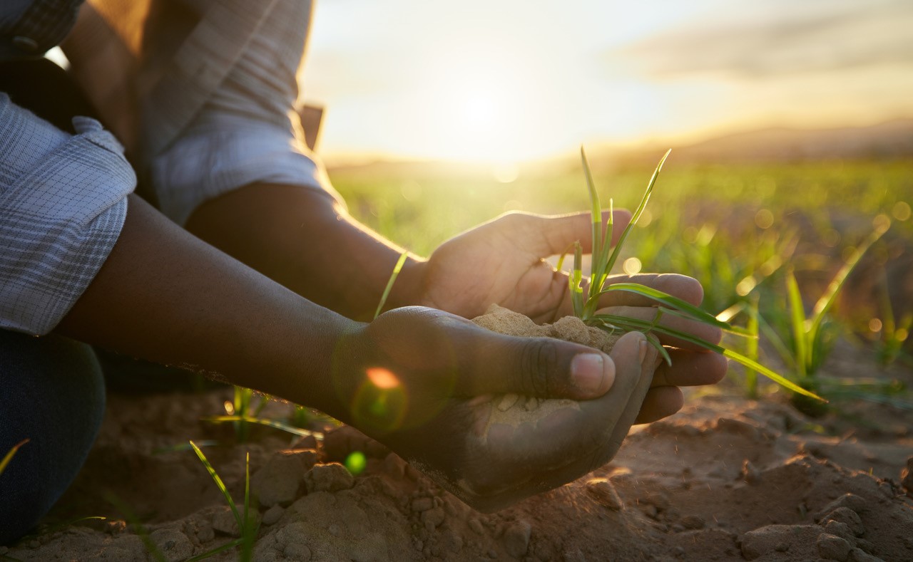 A person holding Ethiopian soil in their hands