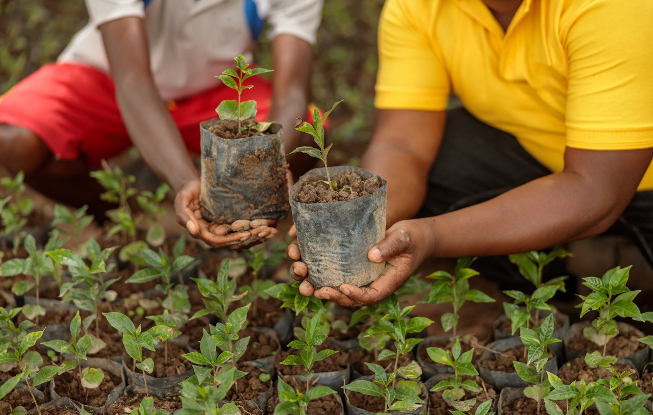 Two people holding small plants in their hands in Rwanda.