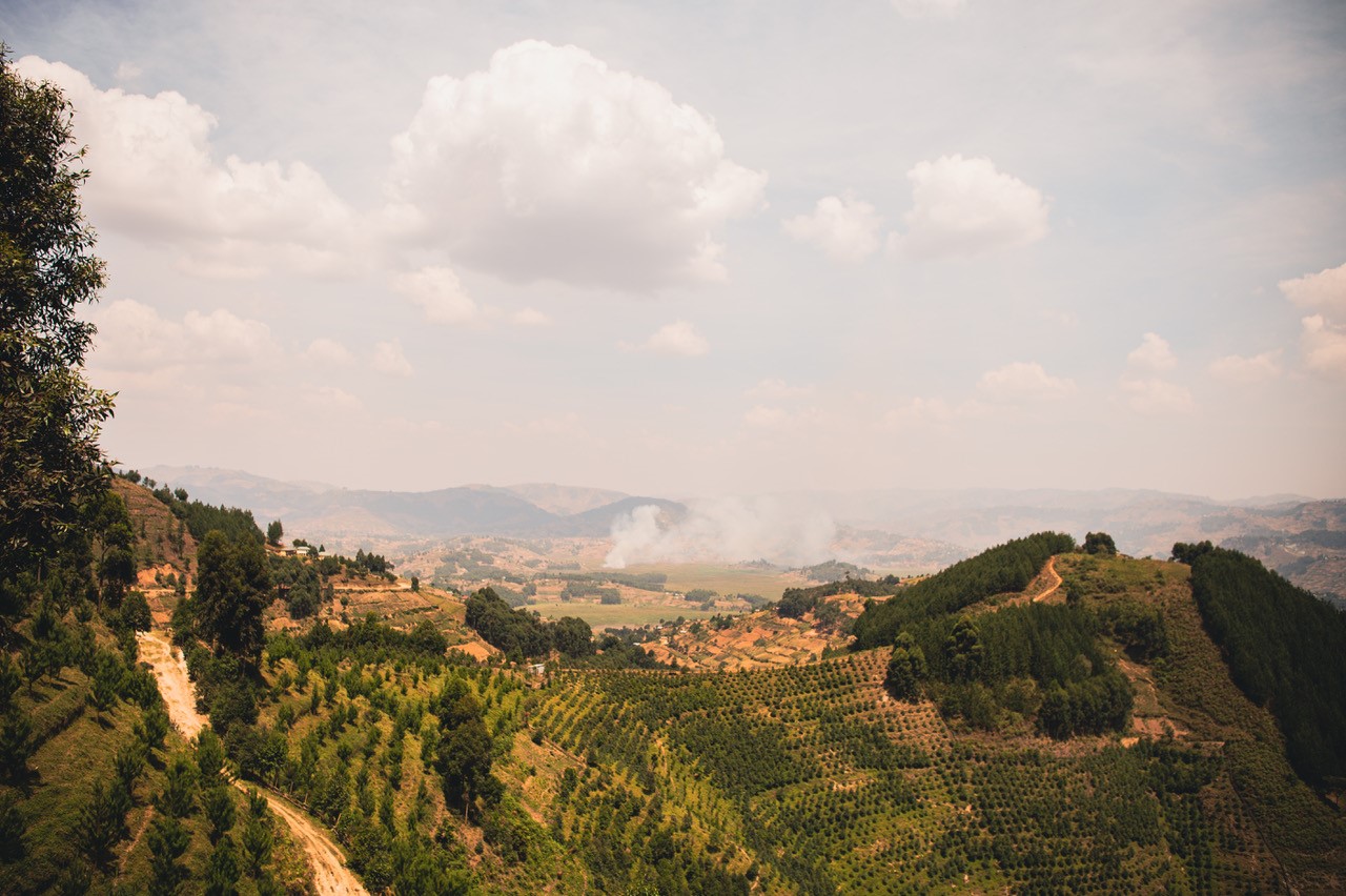 A landscape of crops and trees over hills in Uganda.