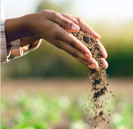 A person letting soil fall through their hands.