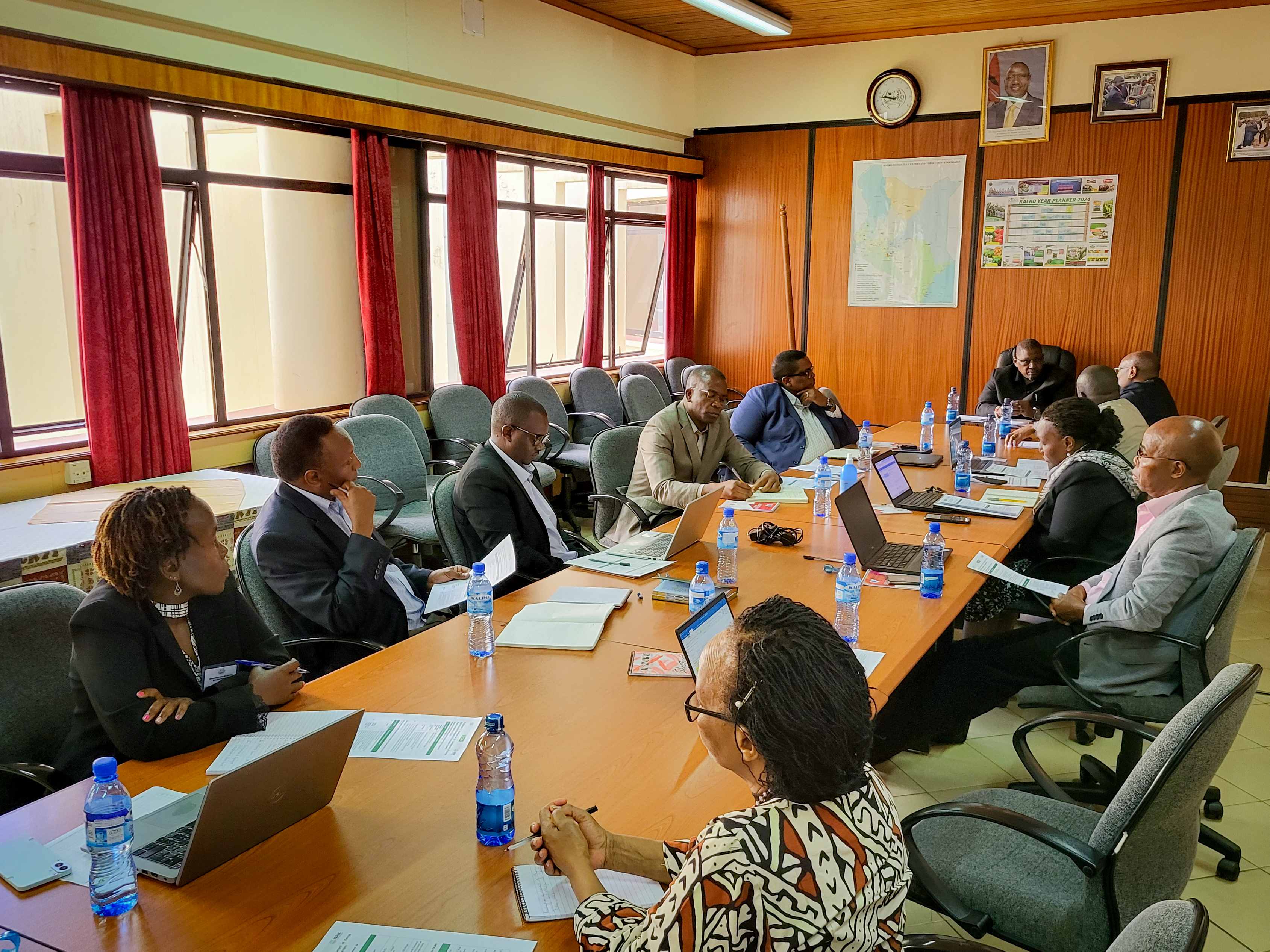  One person holding a small plant in soil in their hands with the sun shining down on it